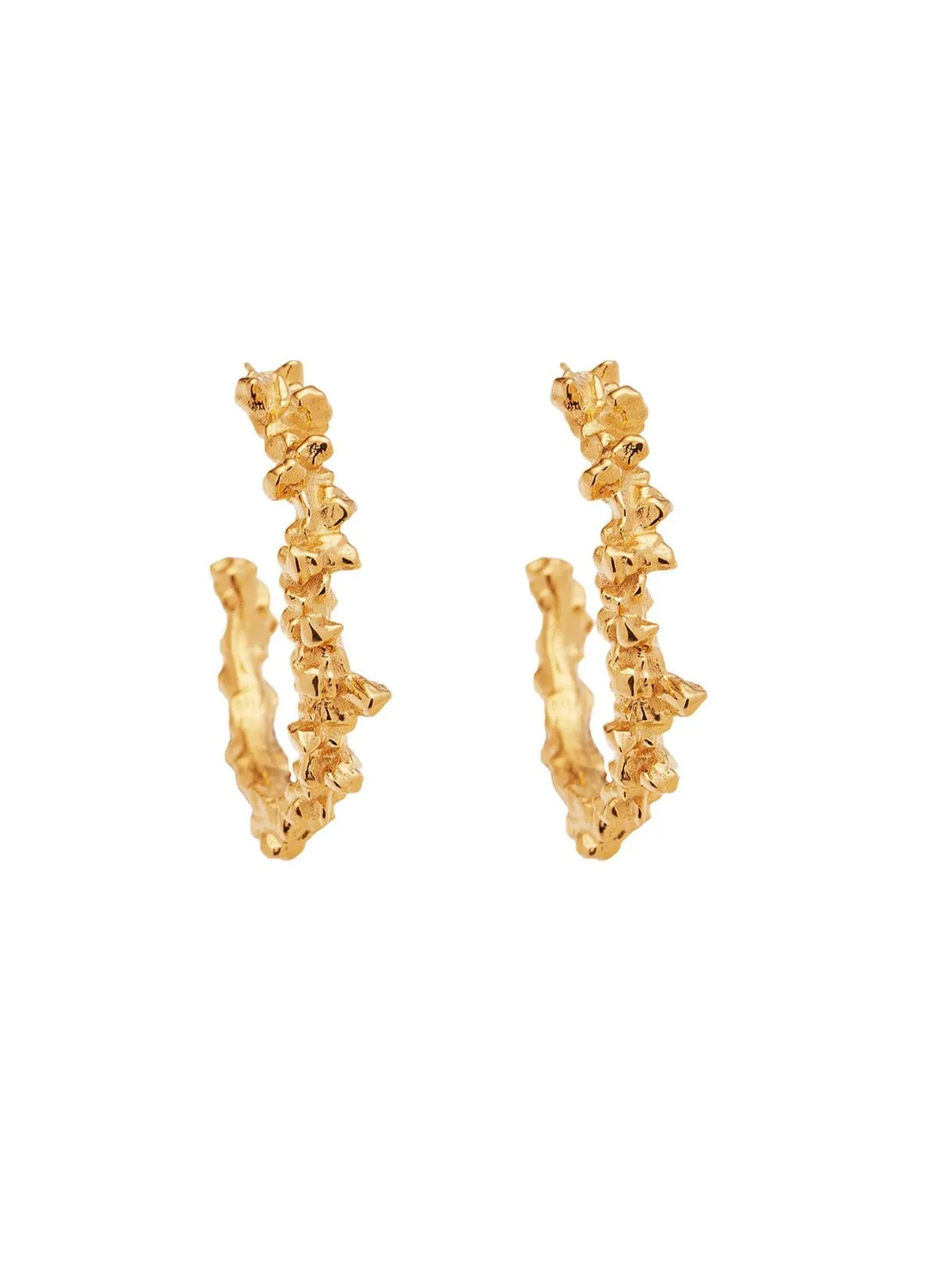 Amber Sceats Bella Earrings in Gold
