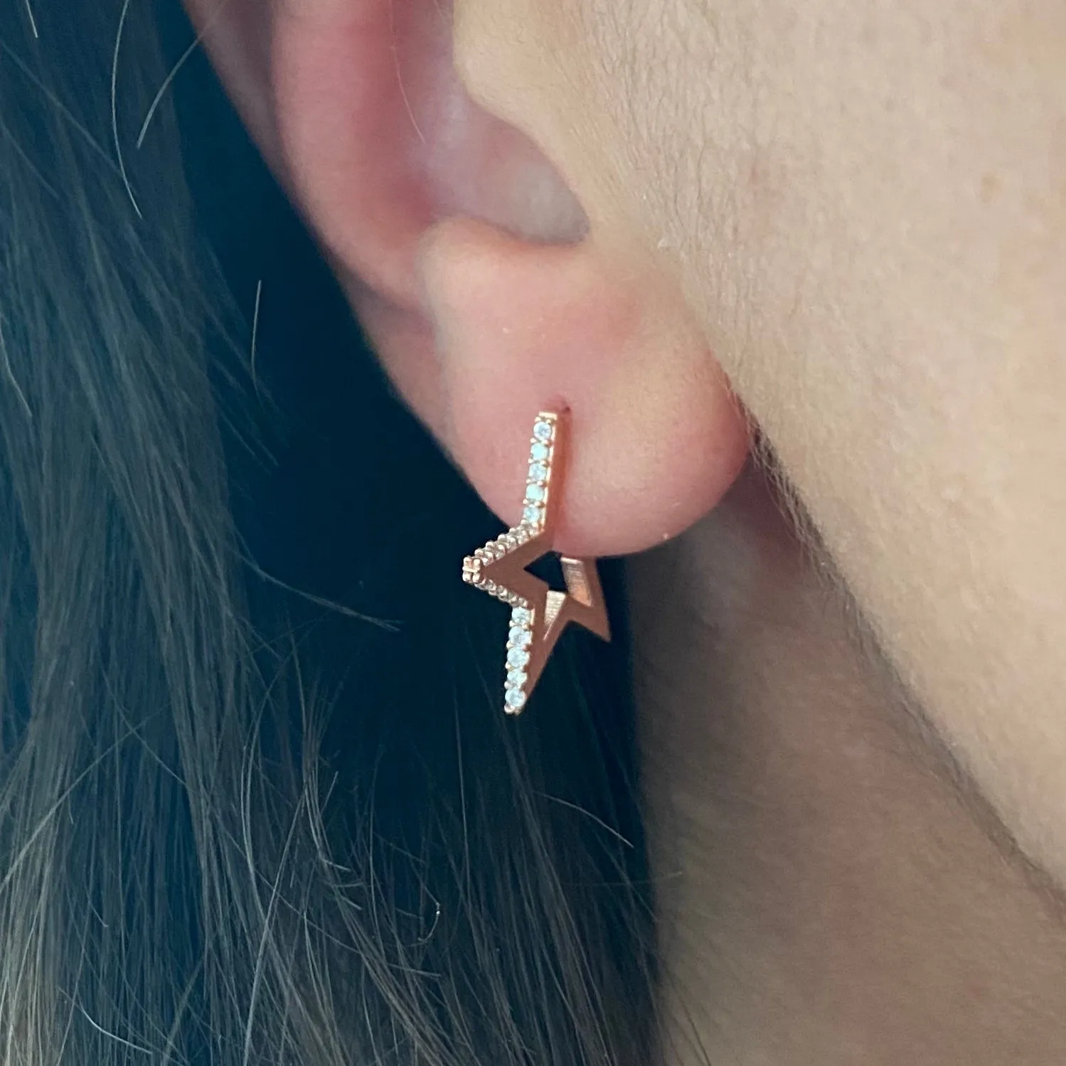 Earrings with paveset stones