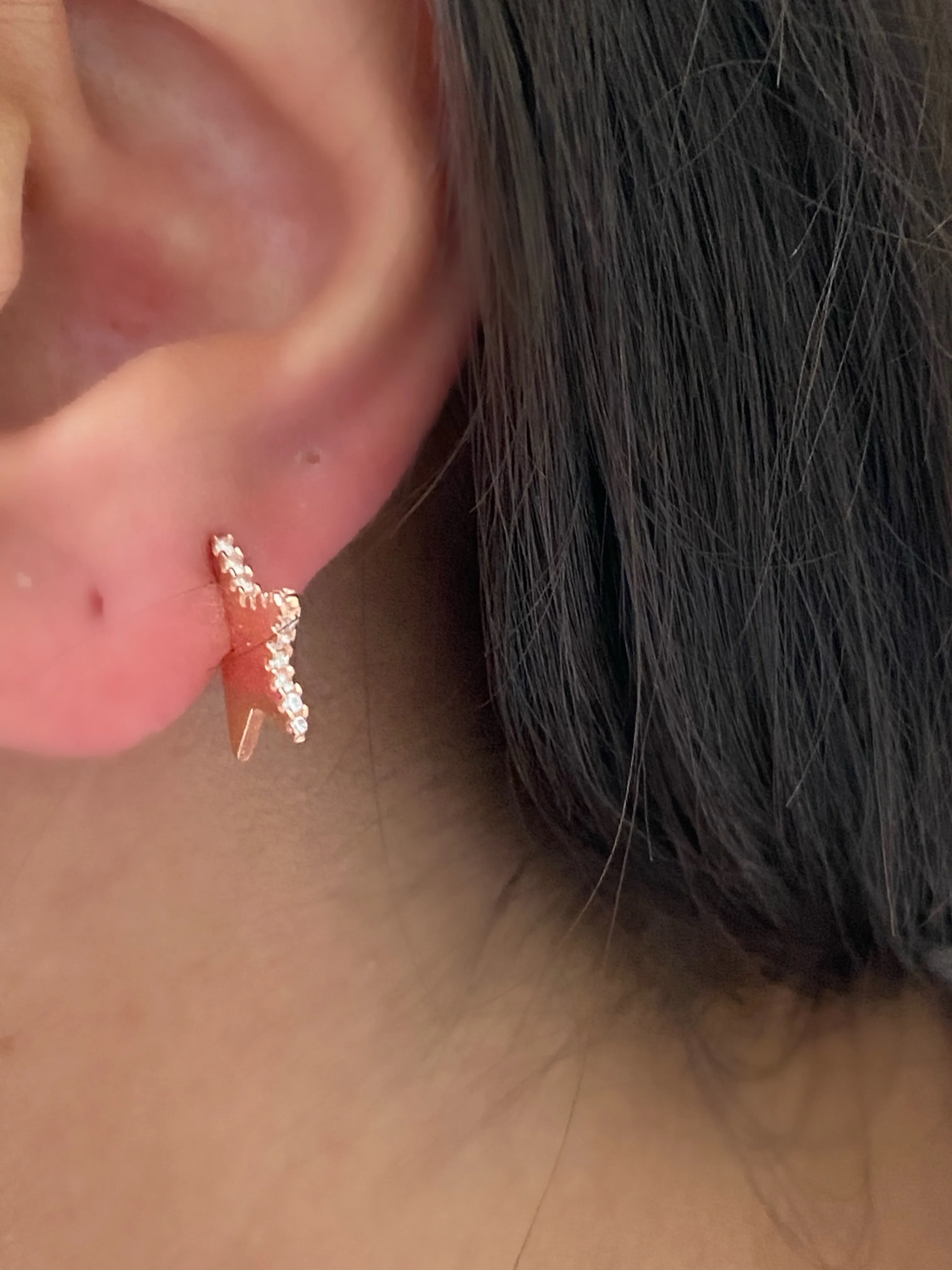 Earrings with paveset stones