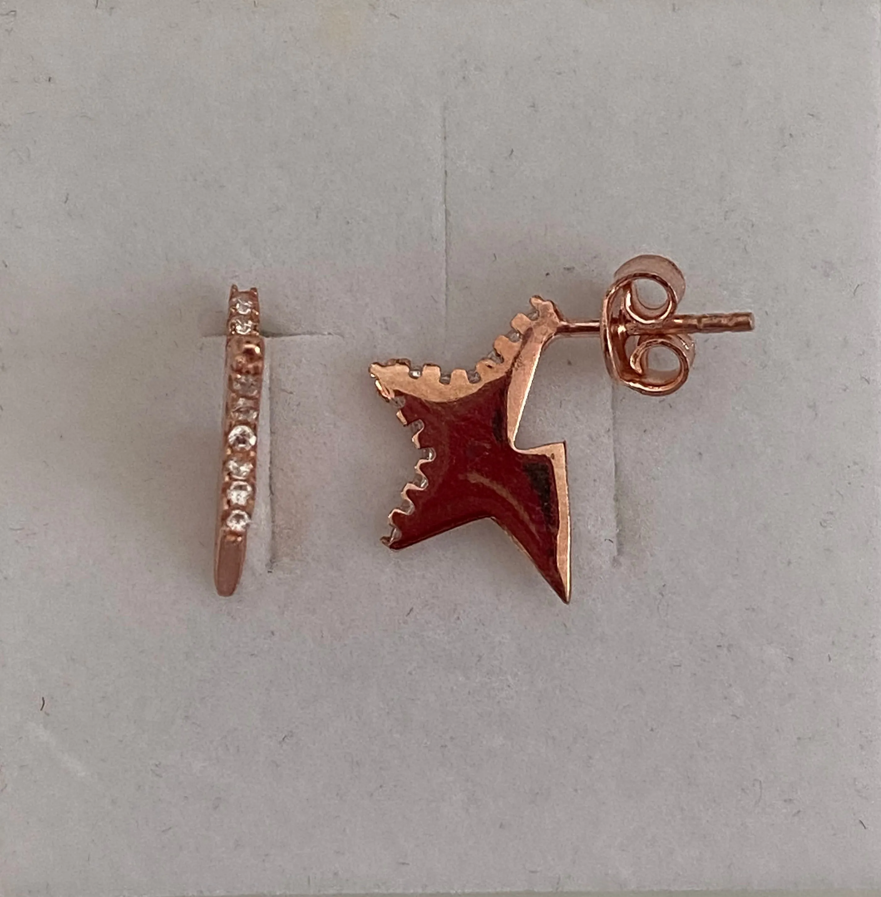 Earrings with paveset stones